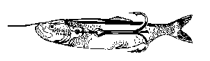 m4.gif (1194 bytes)
