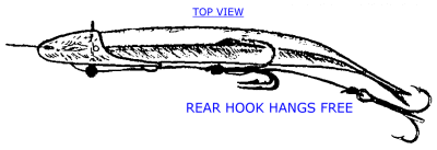 chinook-curved.gif (8826 bytes)