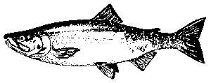 chum2.gif (1902 bytes)